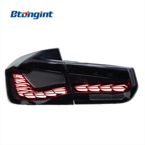 LED Double Dragon Scale Tail Lights Assembly for 2012-2018 BMW 3 Series F30 F35, Sequential Turn Signal