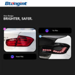 LED Double Dragon Scale Tail Lights Assembly for 2012-2018 BMW 3 Series F30 F35, Sequential Turn Signal