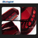LED Double Dragon Scale Tail Lights Assembly for 2012-2018 BMW 3 Series F30 F35, Sequential Turn Signal