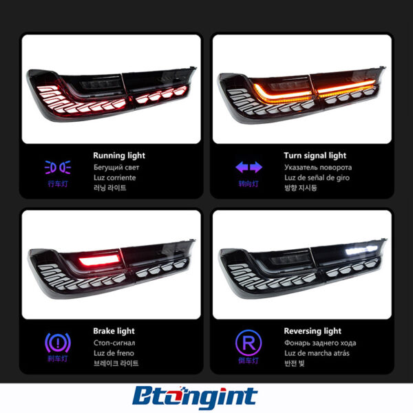 Tail Light Assembly for BMW 3 Series G20 2019-2023, Retrofit LED White Dragon Scale Taillight with Sequential Turn Signal.