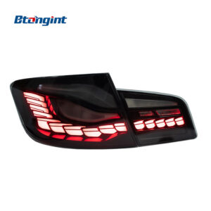 Dragon Scale LED Tail Light Assembly For BMW 5 Series F10 F18, Dynamic Scanning Sequential Turn Signal.